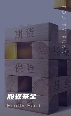Fund type 1