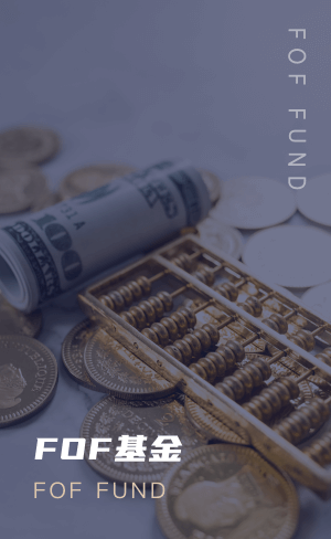 Fund type 4